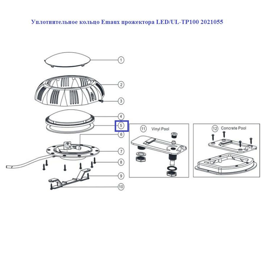 Уплотнительное кольцо AquaViva прожектора LED/UL-TP100 2021055